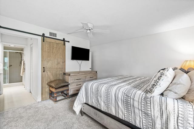 Barn Door to Bathroom