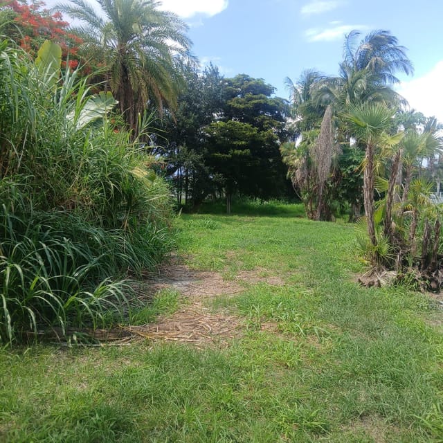 . SW Conners Highway W, Canal Point, FL 33438