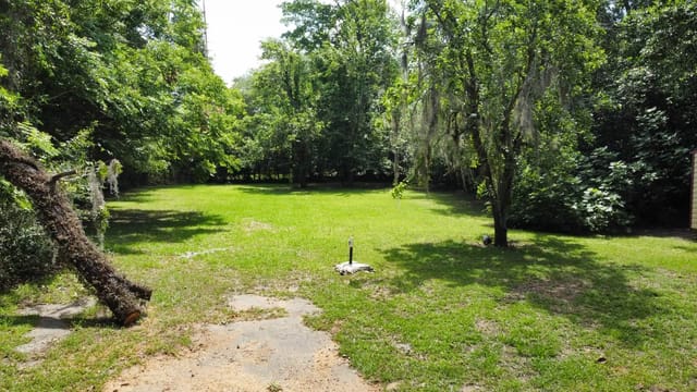 ALF BACK YARD