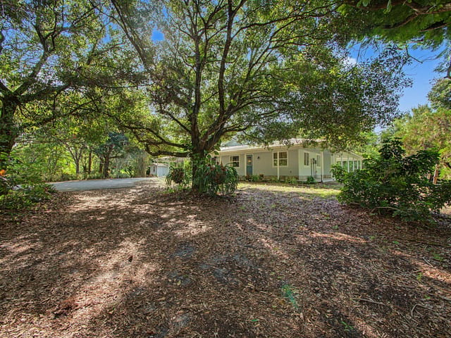 The Property