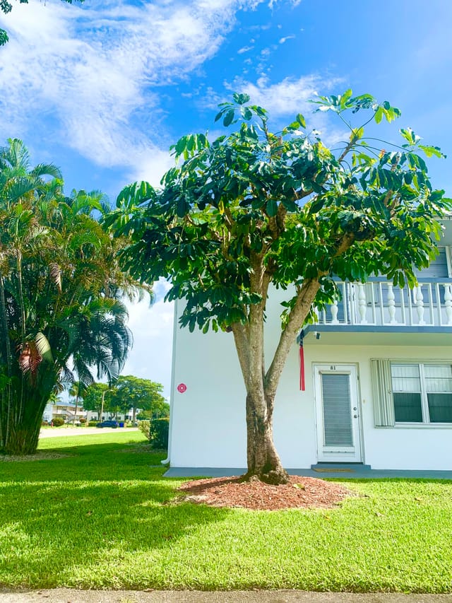 81 Kingswood E, West Palm Beach, FL 33417