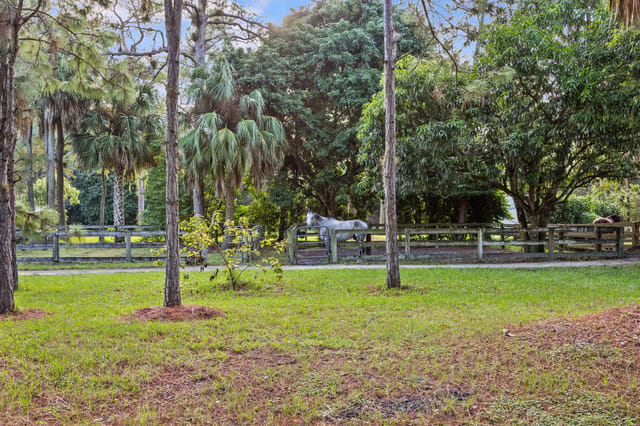 1711 Stallion Drive paddock view