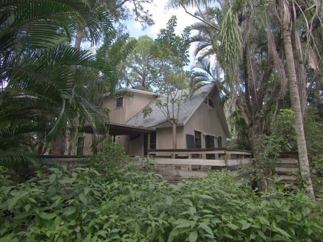 Expansive Decks & Privacy