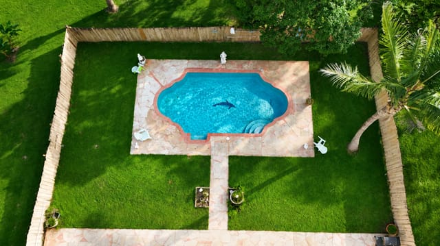 Pool Drone